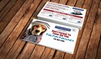 Direct Mail and Banner Graphic Design Examples