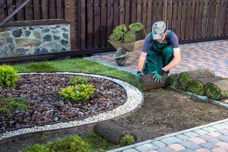 Landscaping_Marketing